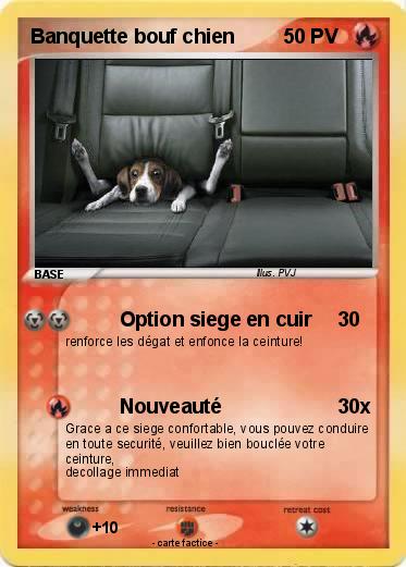 Pokemon Banquette bouf chien