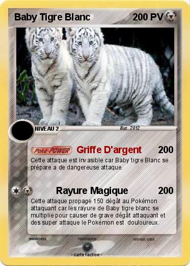 Pokemon Baby Tigre Blanc