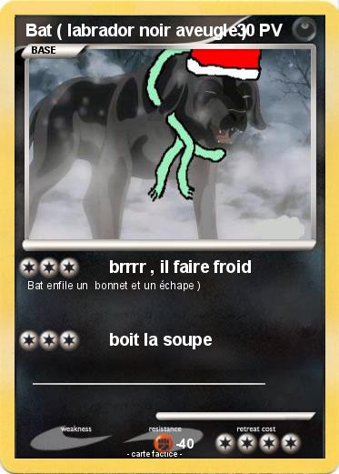 Pokemon Bat ( labrador noir aveugle )