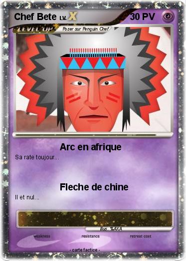 Pokemon Chef Bete