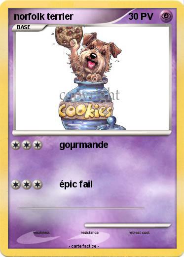 Pokemon norfolk terrier