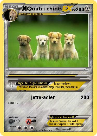 Pokemon Quatri chiots