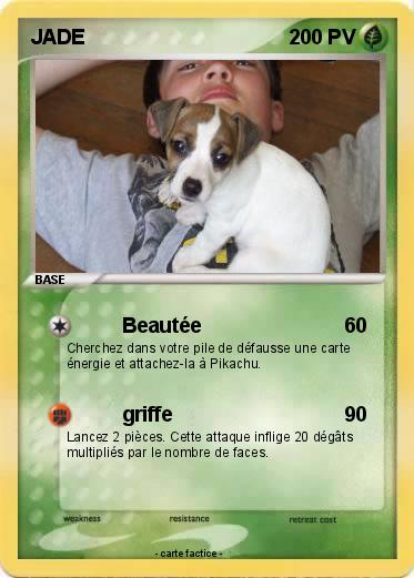 Pokemon JADE