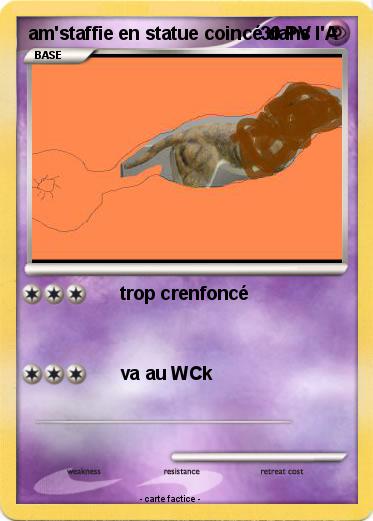 Pokemon am'staffie en statue coincé dans l'A