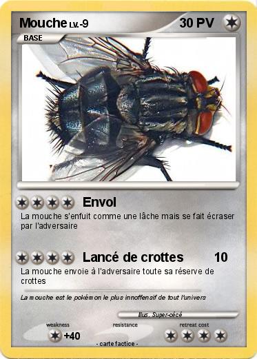 Pokemon Mouche