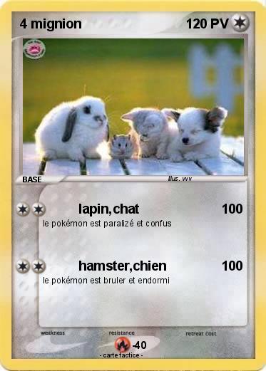 Pokemon 4 mignion