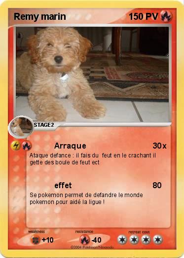 Pokemon Remy marin