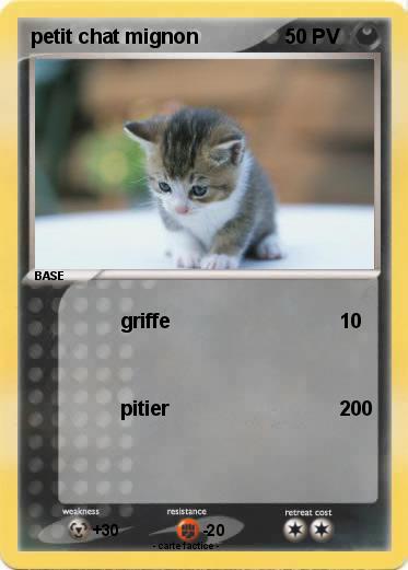 Pokemon petit chat mignon
