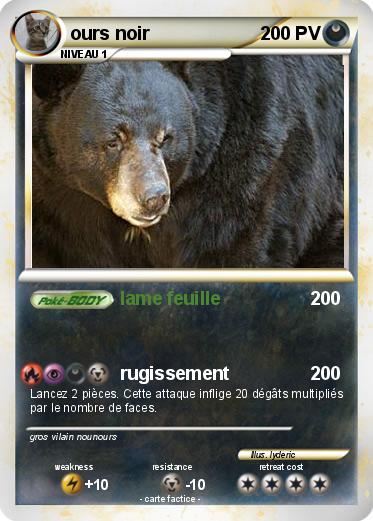 Pokemon ours noir