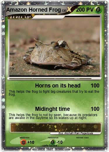 Pokemon Amazon Horned Frog