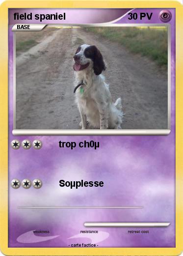 Pokemon field spaniel