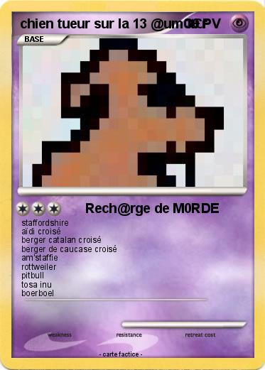 Pokemon chien tueur sur la 13 @um0t£r