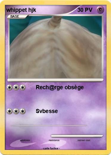 Pokemon whippet hjk