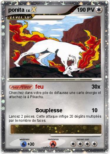 Pokemon ponita