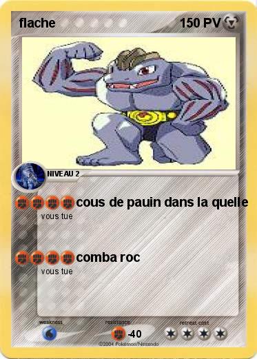 Pokemon flache