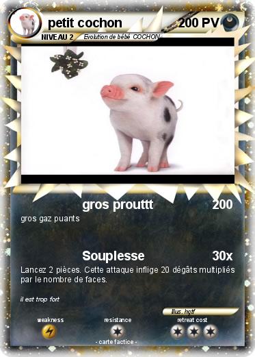 Pokemon petit cochon