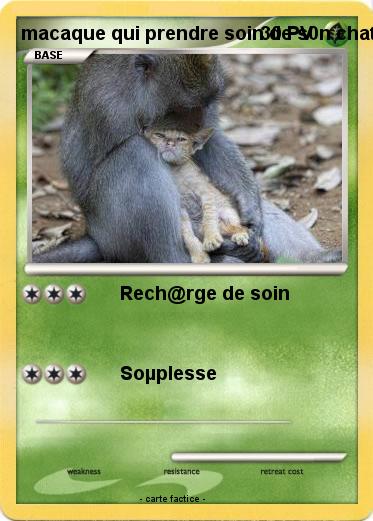 Pokemon macaque qui prendre soin de s0n chat