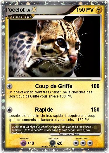 Pokemon l'ocelot