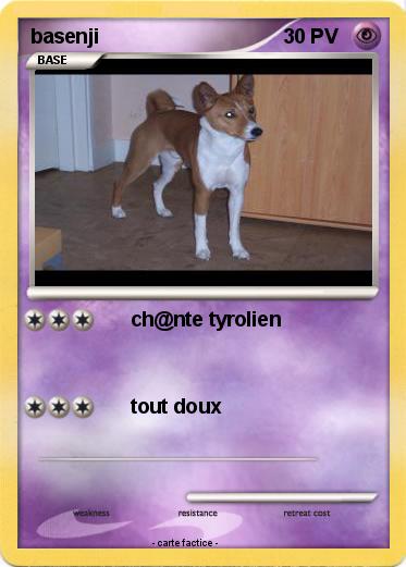 Pokemon basenji