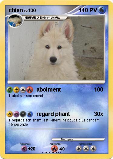 Pokemon chien