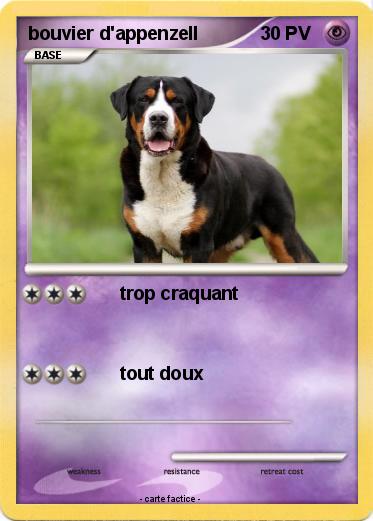 Pokemon bouvier d'appenzell