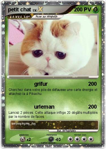 Pokemon petit chat