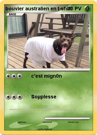 Pokemon bouvier australien en t-shirt
