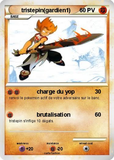 Pokemon tristepin(gardien1)