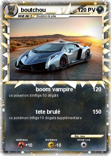 Pokemon boutchou