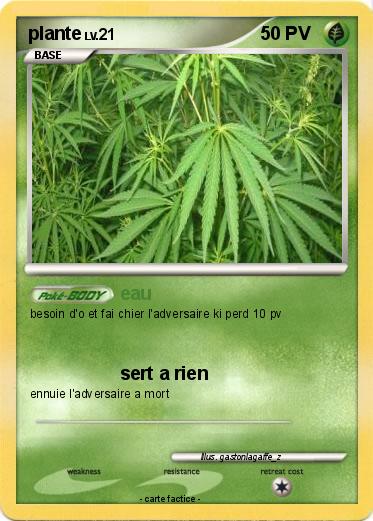 Pokemon plante