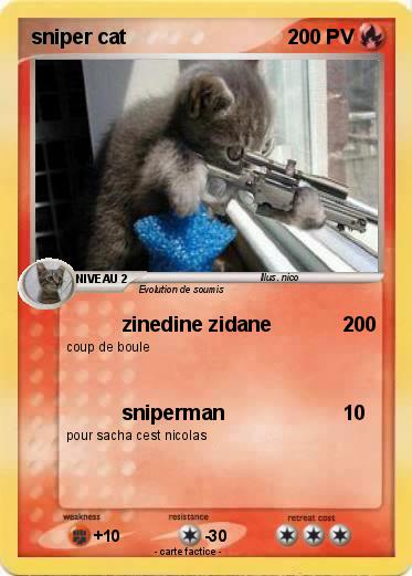 Pokemon sniper cat