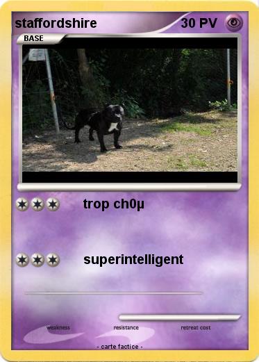 Pokemon staffordshire