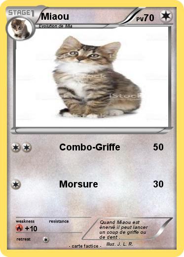 Pokemon Miaou