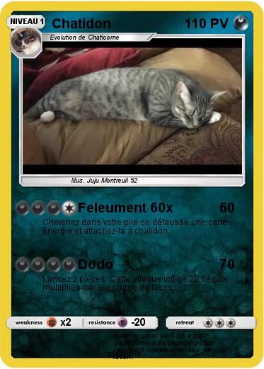 Pokemon Chatidon