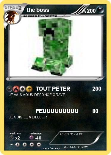 Pokemon the boss