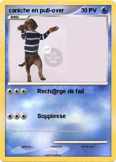 Pokemon caniche en pull-over