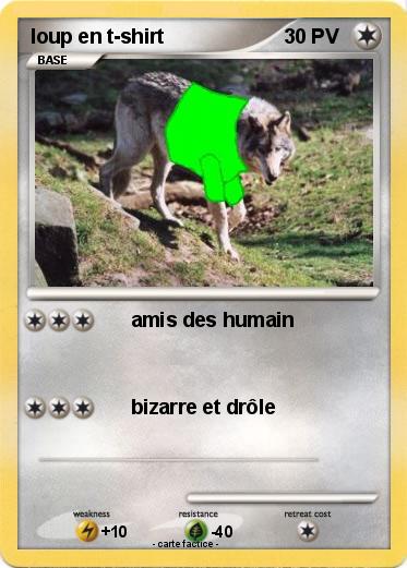 Pokemon loup en t-shirt