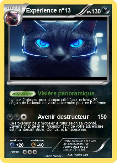 Pokemon Expérience n°13