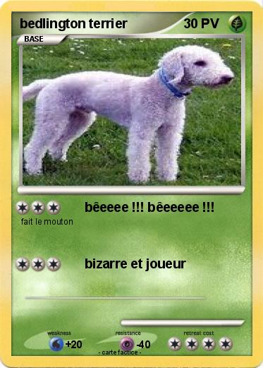 Pokemon bedlington terrier