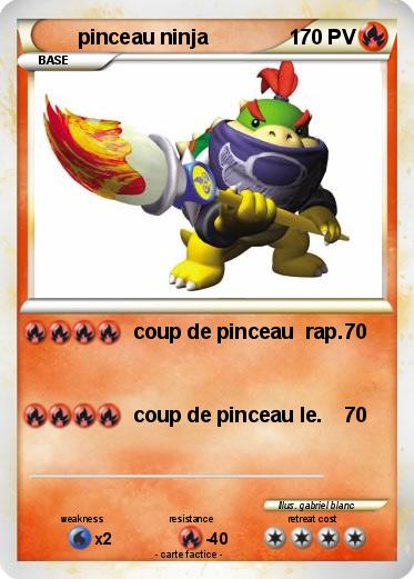 Pokemon pinceau ninja