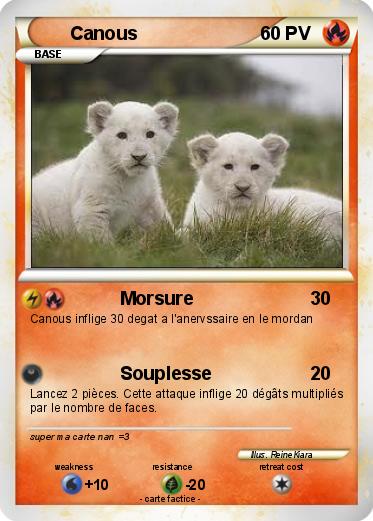 Pokemon Canous