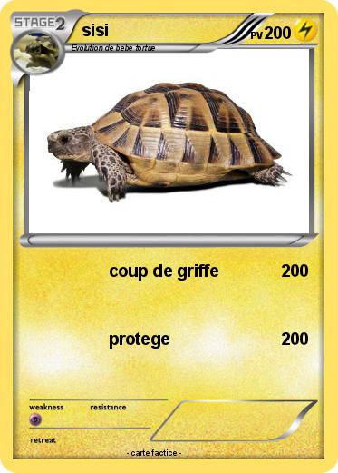 Pokemon sisi