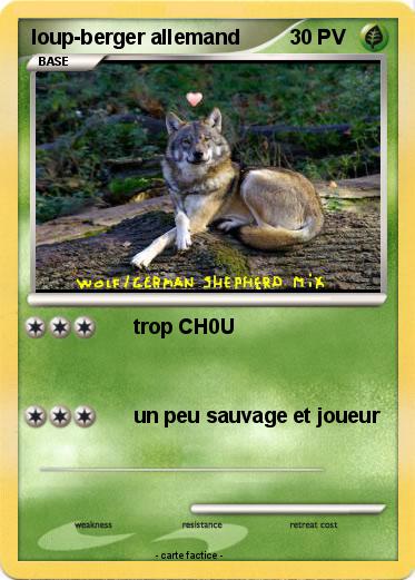 Pokemon loup-berger allemand