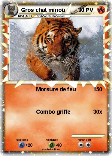 Pokemon Gros chat minou