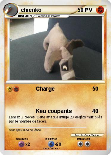 Pokemon chienko