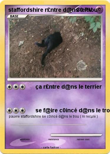 Pokemon staffordshire r£ntre d@ns le trou