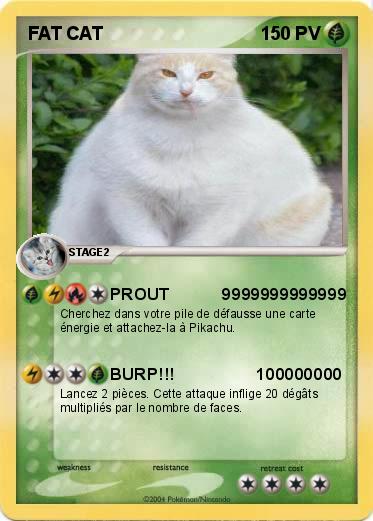 Pokemon FAT CAT 