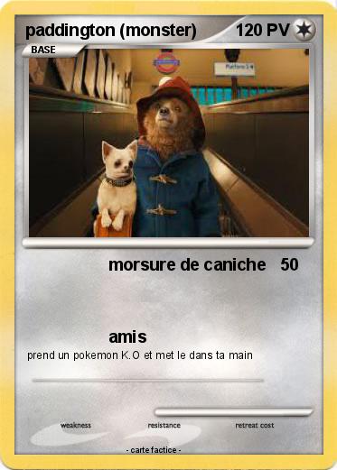 Pokemon paddington (monster)