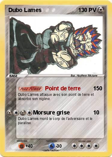 Pokemon Dubo Lames