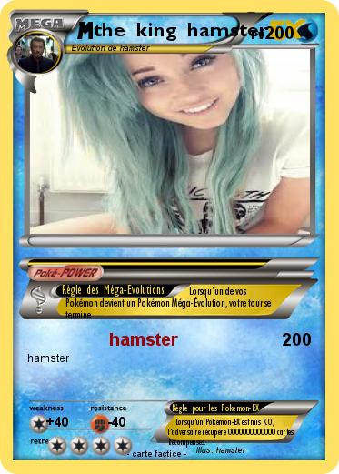 Pokemon the  king  hamster